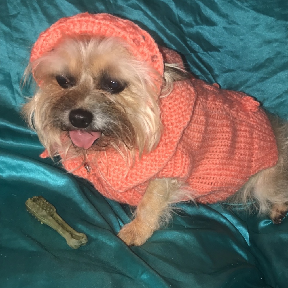 Handmade dog sweater